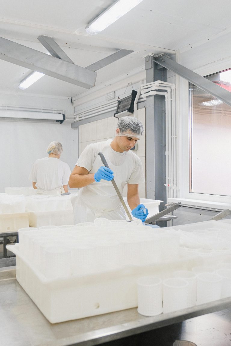 Worker in a cheese production facility handling dairy preparations.